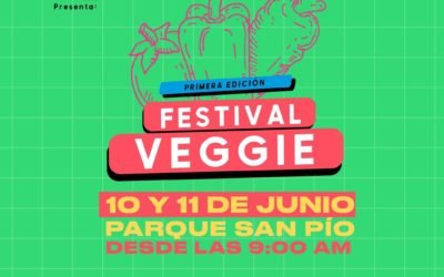 ¡Descubre los sabores más deliciosos de la cocina vegetariana en Bucaramanga!