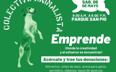 El colectivo animalista ¡emprende