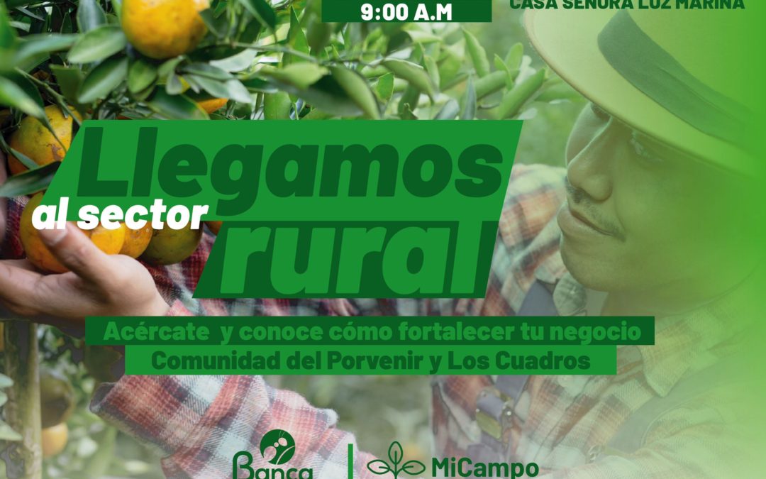 Llegamos a la vereda El Pedregal sector Los Cuadros.